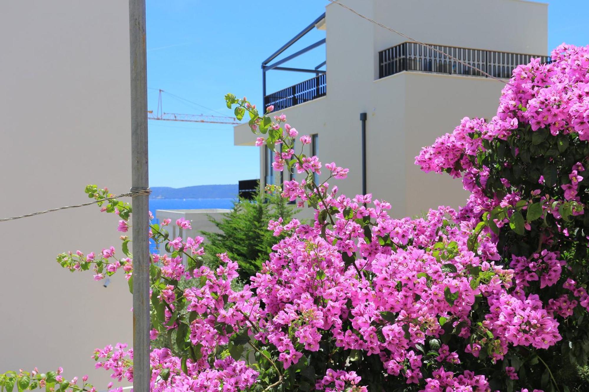 Family Friendly Apartments With A Swimming Pool Businci, Ciovo - 11232 트로기르 외부 사진